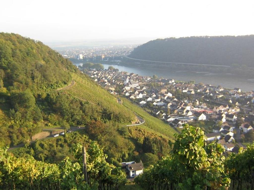 Hotel Am Martinsberg Andernach Ngoại thất bức ảnh